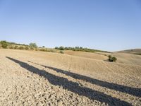 a dirt path in the middle of an open field near trees and hills and a person on a bicycle