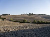 a dirt path in the middle of an open field near trees and hills and a person on a bicycle