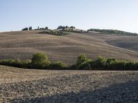 a dirt path in the middle of an open field near trees and hills and a person on a bicycle