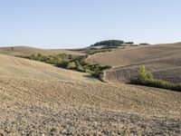 a dirt path in the middle of an open field near trees and hills and a person on a bicycle