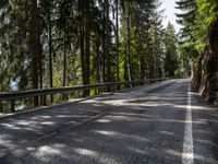 a bike is riding down the street in front of a guardrail and pine trees