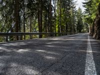 a bike is riding down the street in front of a guardrail and pine trees