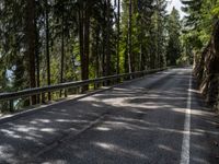 a bike is riding down the street in front of a guardrail and pine trees