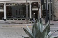 a man crossing the street and riding a skateboard in front of an alcove