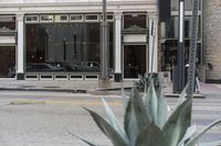 a man crossing the street and riding a skateboard in front of an alcove