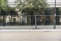 a tree is outside in the daytime on the sidewalk of the city street, next to a building