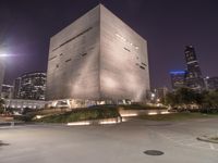 Dallas Cityscape: Night Lights and Modern Architecture-001