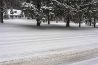 a country cabin surrounded by snow covered pine trees near a road in a park with snow covered ground