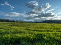 a lone country road is in the countryside area with mountains on both sides and barbed fence between the two sides