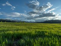 a lone country road is in the countryside area with mountains on both sides and barbed fence between the two sides