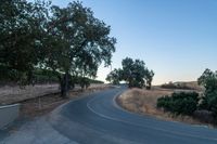 a winding, empty road going up the side of a hill on a clear day