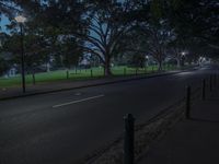 a full view of an empty city street at night with trees and a road leading to grassy green grass