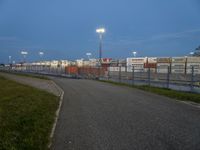 a grassy pathway with street lights in the distance at dusk at an airport runway area