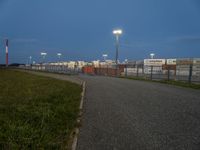 a grassy pathway with street lights in the distance at dusk at an airport runway area