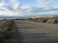 Dawn by the Sea: California Headlands and Coastal Road