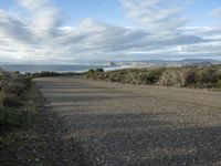 Dawn by the Sea: California Headlands and Coastal Road