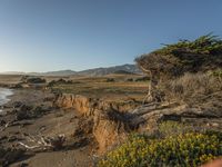 a grassy field by the shore and a cliff with rocks in the ocean in the background