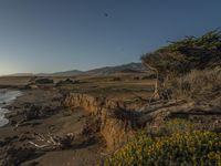 a grassy field by the shore and a cliff with rocks in the ocean in the background