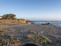 a grassy field by the shore and a cliff with rocks in the ocean in the background