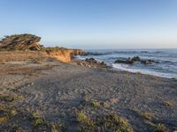 a grassy field by the shore and a cliff with rocks in the ocean in the background