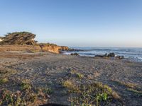 a grassy field by the shore and a cliff with rocks in the ocean in the background