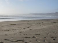 Dawn on the Coastal Beach of California