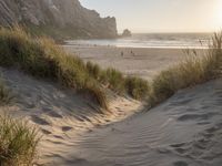 Dawn on the Coastal Beaches of California