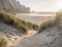 Dawn on the Coastal Beaches of California