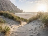 Dawn on the Coastal Beaches of California