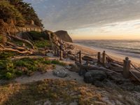 Dawn in California on the Coastal Shore