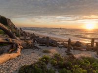 Dawn in California on the Coastal Shore