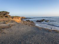 a grassy field by the shore and a cliff with rocks in the ocean in the background