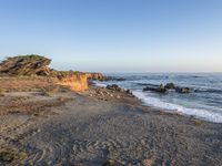 a grassy field by the shore and a cliff with rocks in the ocean in the background