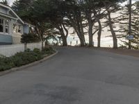 a street with trees near the ocean in front of some buildings, next to a white fence and tall trees