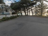 a street with trees near the ocean in front of some buildings, next to a white fence and tall trees