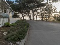 a street with trees near the ocean in front of some buildings, next to a white fence and tall trees