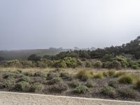 Dawn in California: A Serene Valley of Nature