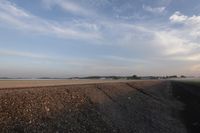 Dawn in Canada: A Landscape of Trees and Plains