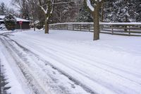 a street full of snow with several trees lining the side of it and fenced in