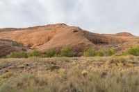 a desert with some very tall rocks and grass around it, with trees on the ground