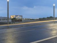 Dawn on the City Streets of Berlin: Water Reflections and Urban Lights