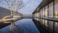 an empty pool in a large building with several glass windows and a tree next to the pool