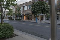 a long sidewalk with trees and bushes on it next to stores on both sides of the street