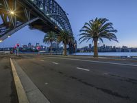 palm trees line a sidewalk beside the water near the street lights and a bridge with a bay in the distance