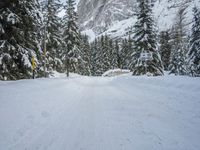 snow and fir trees are lining a ski slope in the mountainside area of evergreen forest, with a snowy slope on the other side