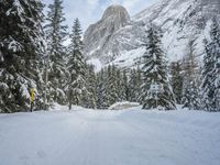 snow and fir trees are lining a ski slope in the mountainside area of evergreen forest, with a snowy slope on the other side