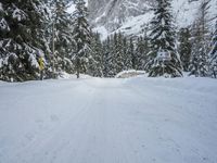 snow and fir trees are lining a ski slope in the mountainside area of evergreen forest, with a snowy slope on the other side