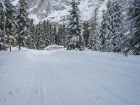 snow and fir trees are lining a ski slope in the mountainside area of evergreen forest, with a snowy slope on the other side