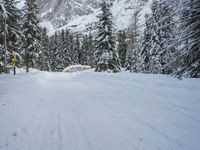 snow and fir trees are lining a ski slope in the mountainside area of evergreen forest, with a snowy slope on the other side