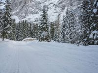 snow and fir trees are lining a ski slope in the mountainside area of evergreen forest, with a snowy slope on the other side
